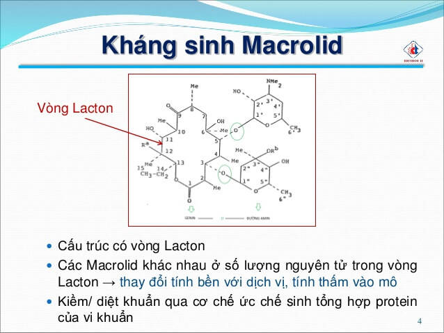 cấu trúc hóa học của nhóm kháng sinh macrolid