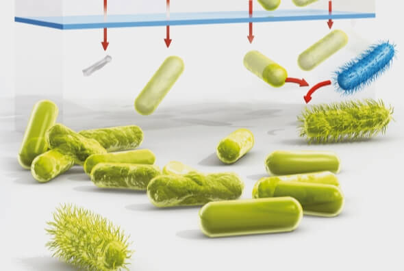 Sự phát triển của vi khuẩn kháng kháng sinh