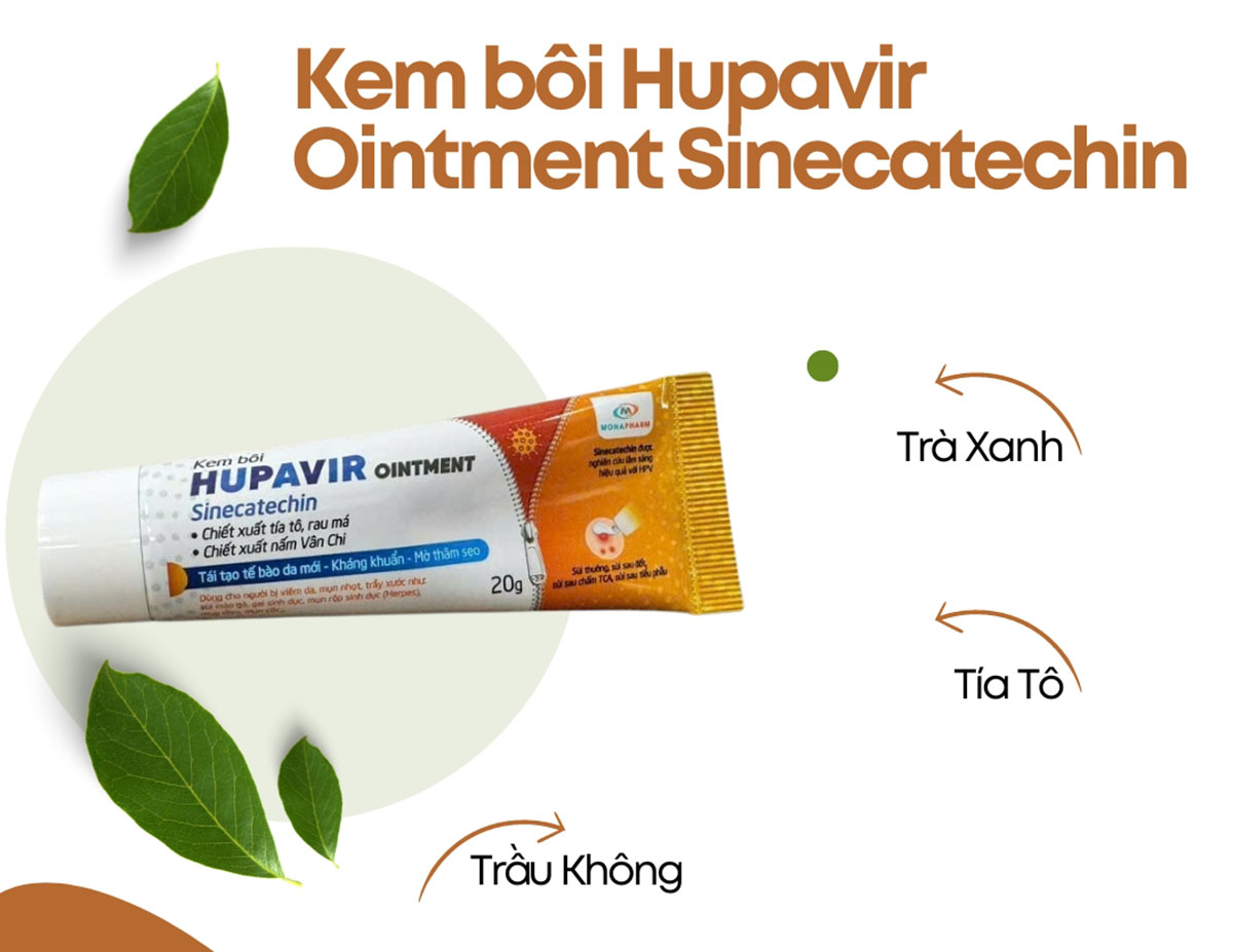 Kem bôi Hupavir Ointment Sinecatechin